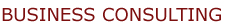 Business Consulting